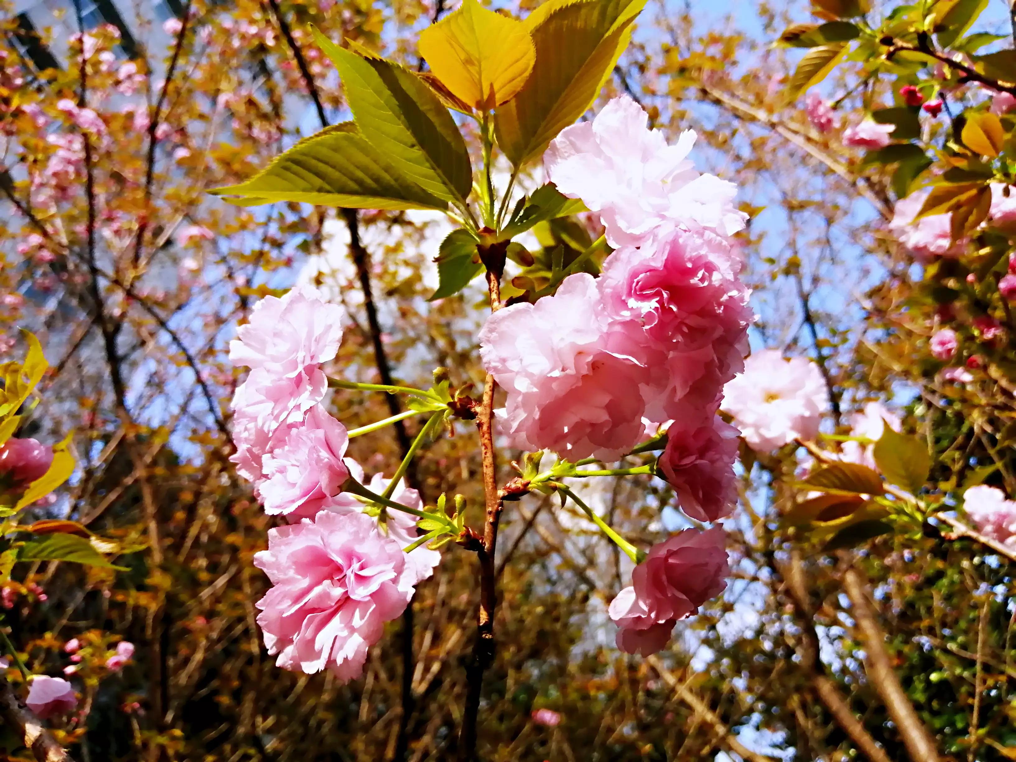 想不通的事情选择放下,想不通的事情暂时放下没事吧