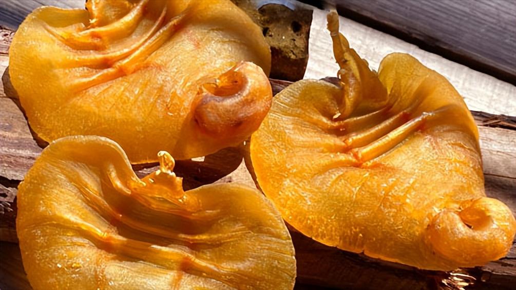 泊来鲜加盟靠谱吗,泊来鲜加盟吉林