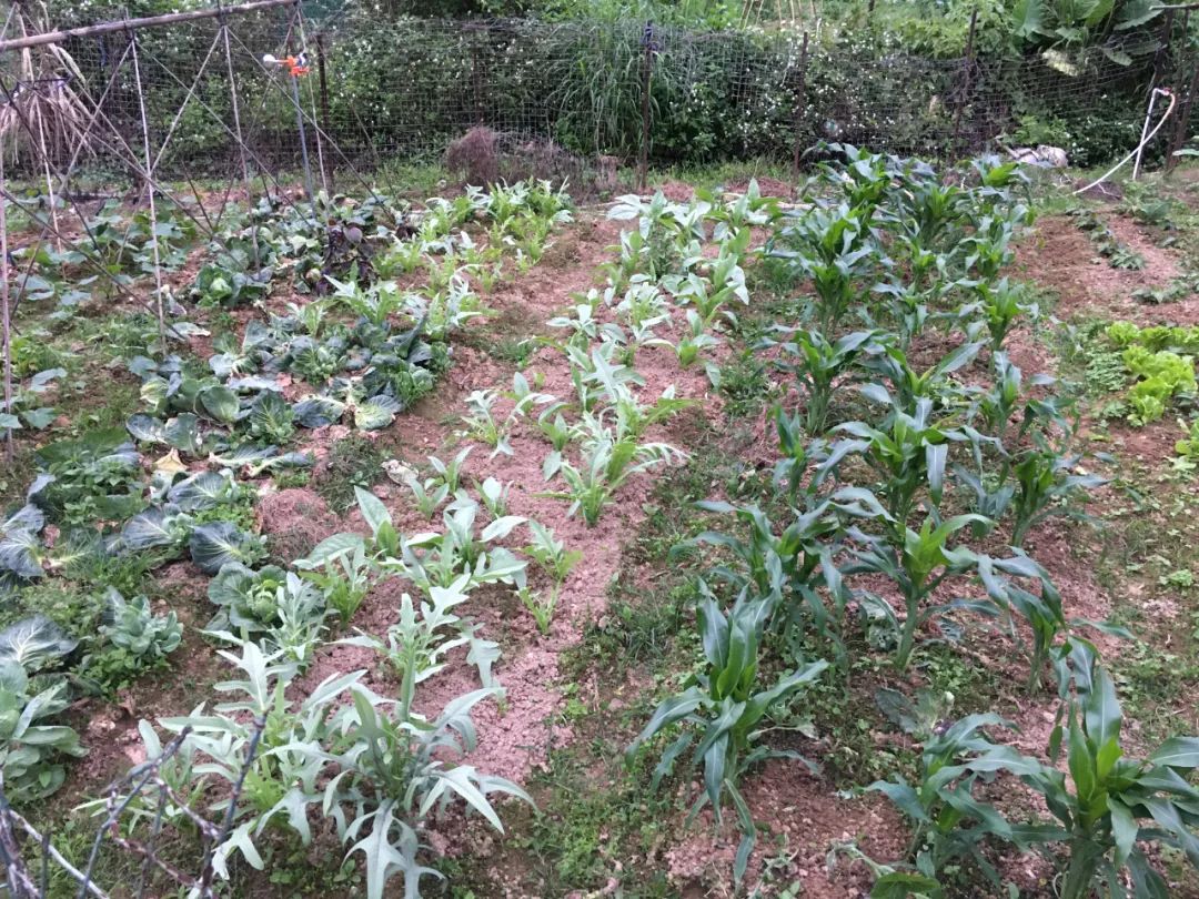 旭光车行雅迪电动车,旭光单车