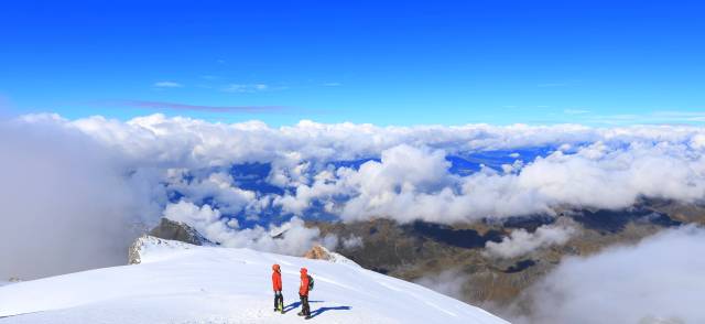 云南西双版纳跨省游最新通知,云南跨省游最新通知