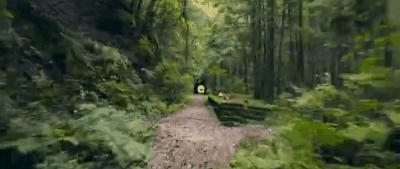 非去不可的理由有什么,非去不可的理由有哪些