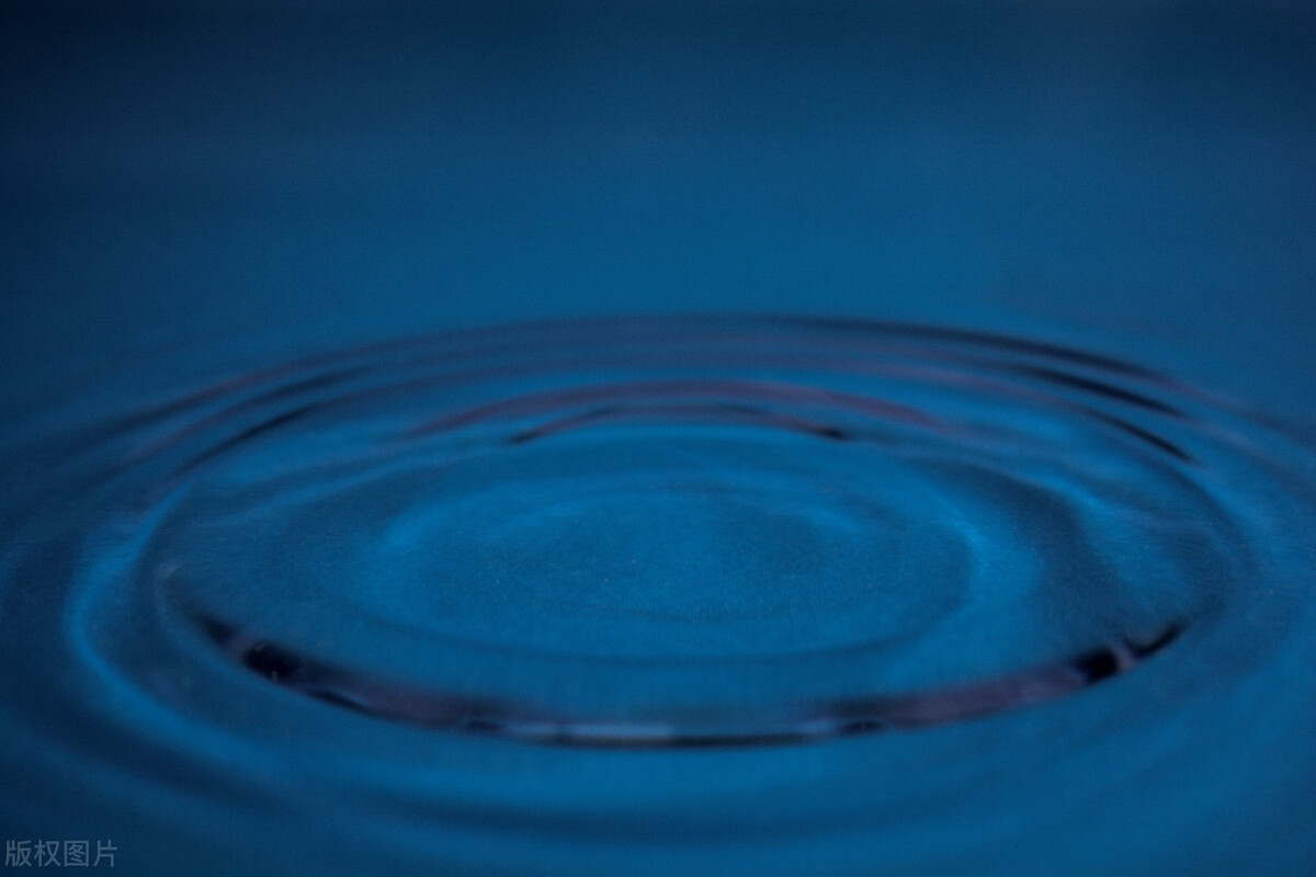 新房装修怎么除甲醛最快最有效,新房装修好养什么植物可除甲醛