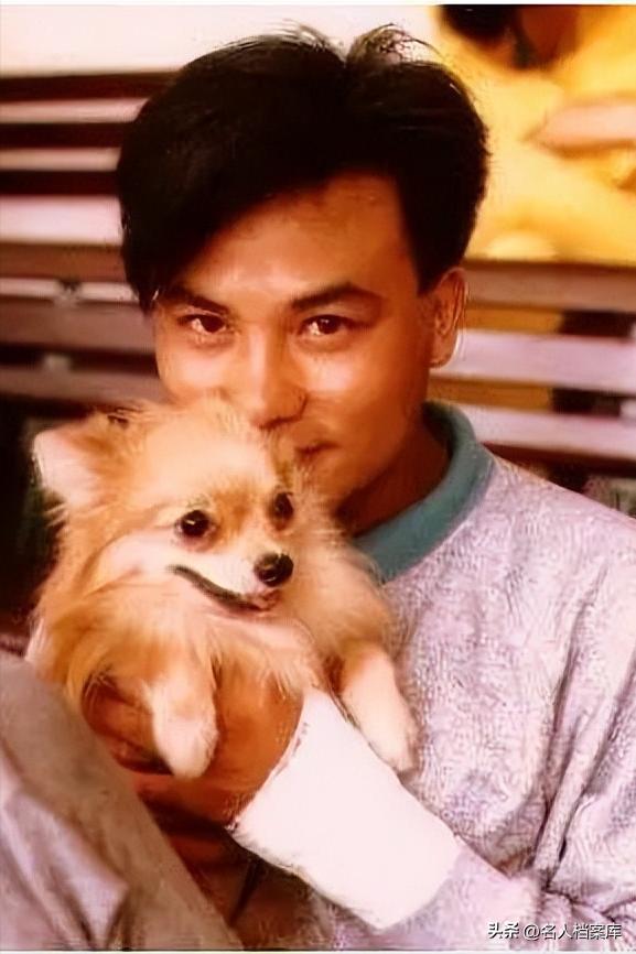 他是香港黑道惹不起的人，向华强都得给他三分薄面，却被当众刺伤