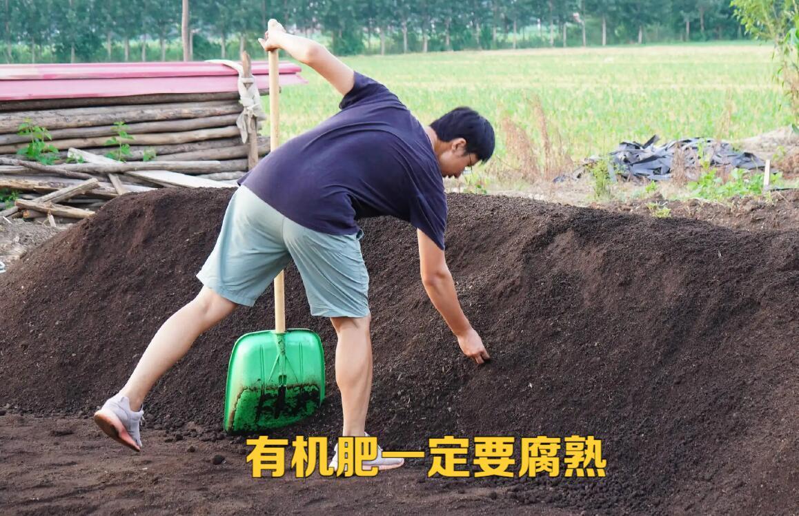 土传病害土壤如何处理,土传病害防不胜防如何彻底解决