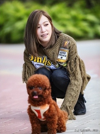 王心凌你一票我一票押韵句子,40岁的王心凌还能又唱又跳