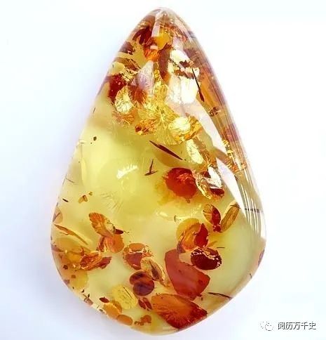 8分钟了解波兰历史,五分钟了解一个国家美国