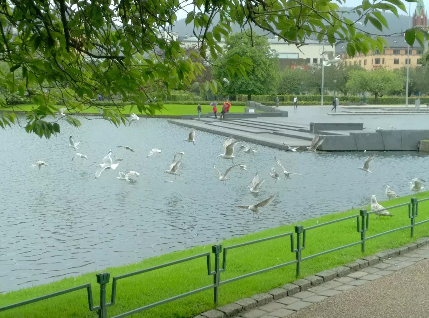 挪威为什么不加入欧盟,挪威为什么没加入欧盟