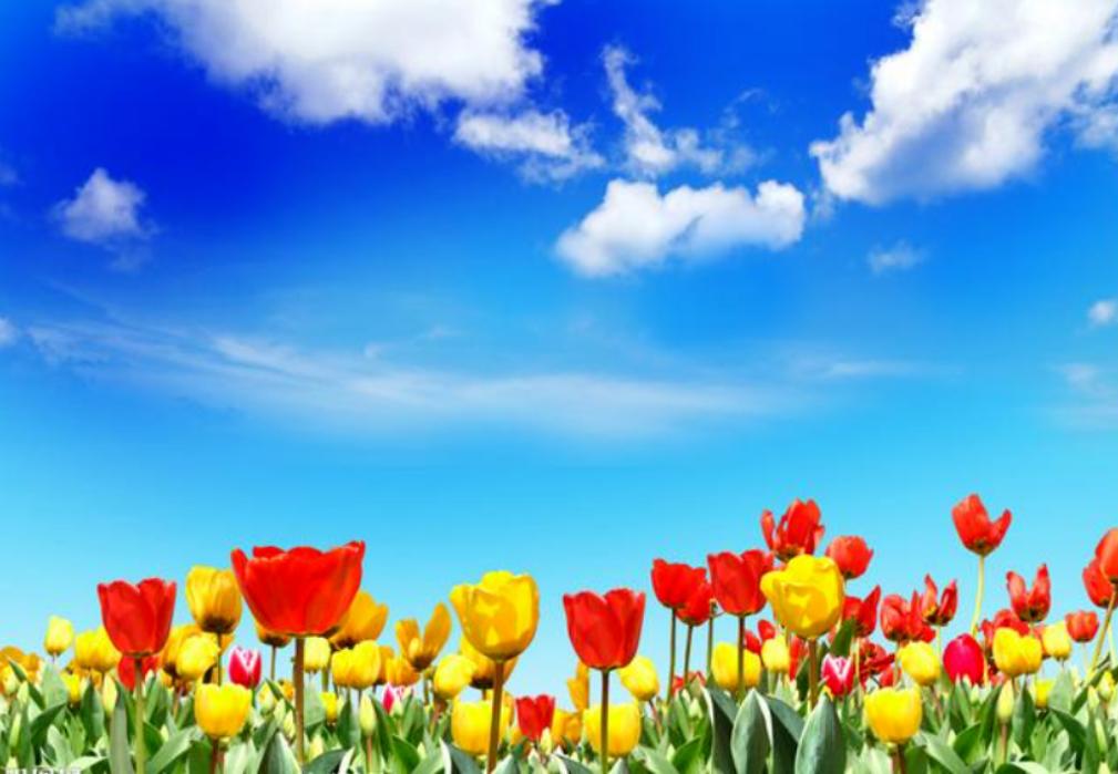 不回复你微信的人直接拉黑,这样回你微信的人就别联系了