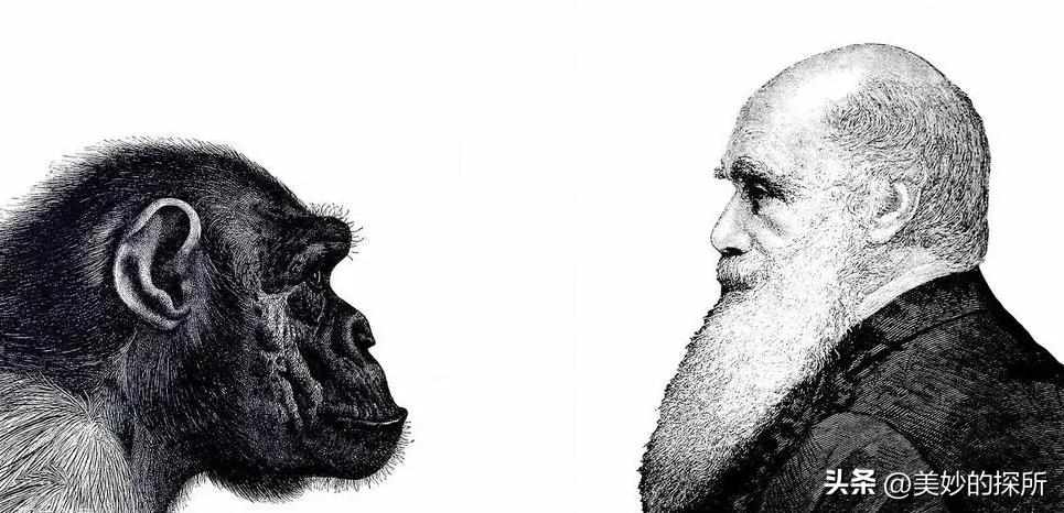 天主教和佛教基督教区别 (浅谈佛教天主教与基督教的区别)