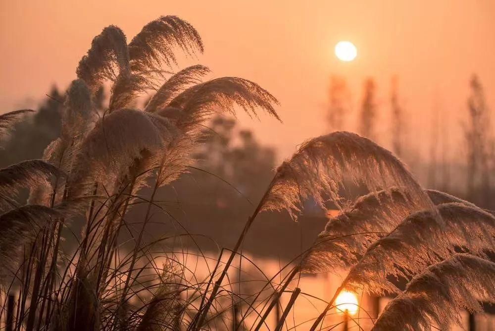 绝美“夕阳”古诗词15首,描写夕阳美的古诗