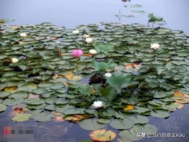 上海自驾西山旅游攻略,苏州东山一日游自驾游最佳路线图