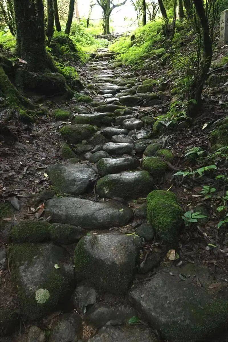 鏅幢涓栫晫鑼舵簮,澶╄祼鏅幢涓栫晫鑼舵簮