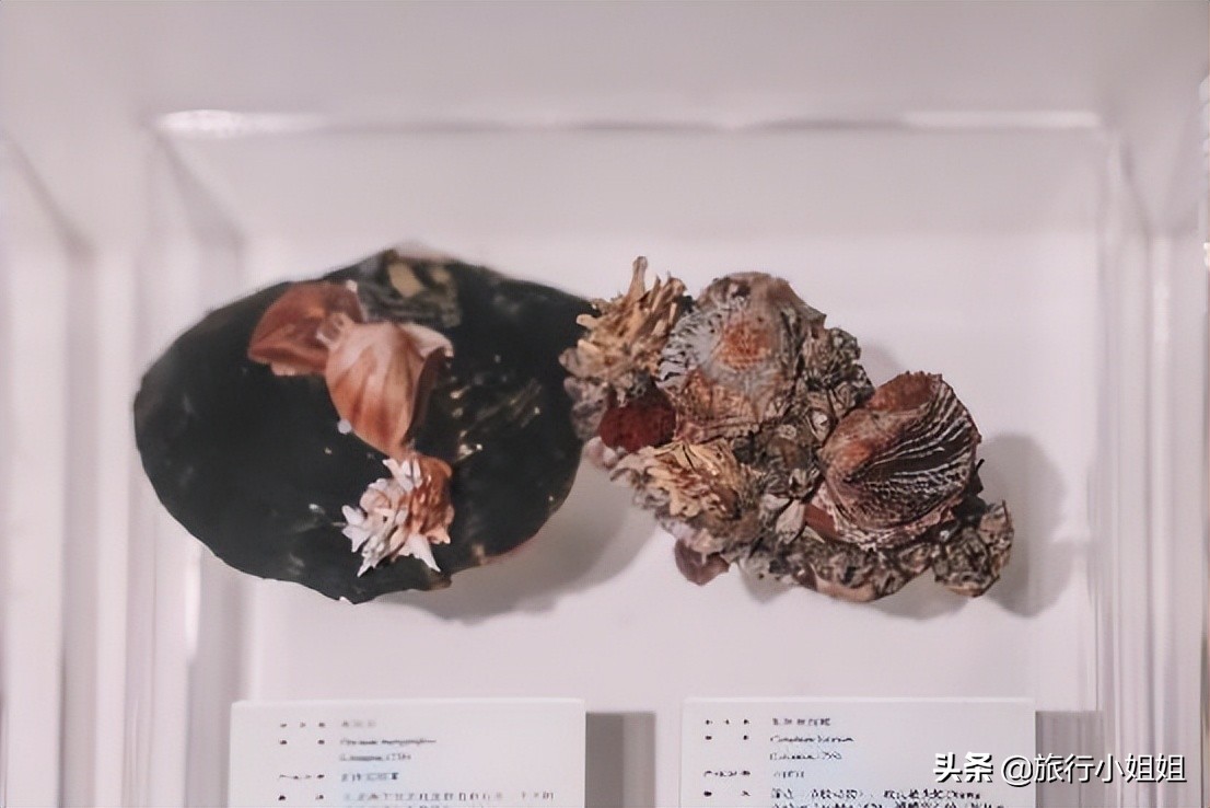 夏日海边浪漫迷人,滨城风光秀丽浪漫气息爆表