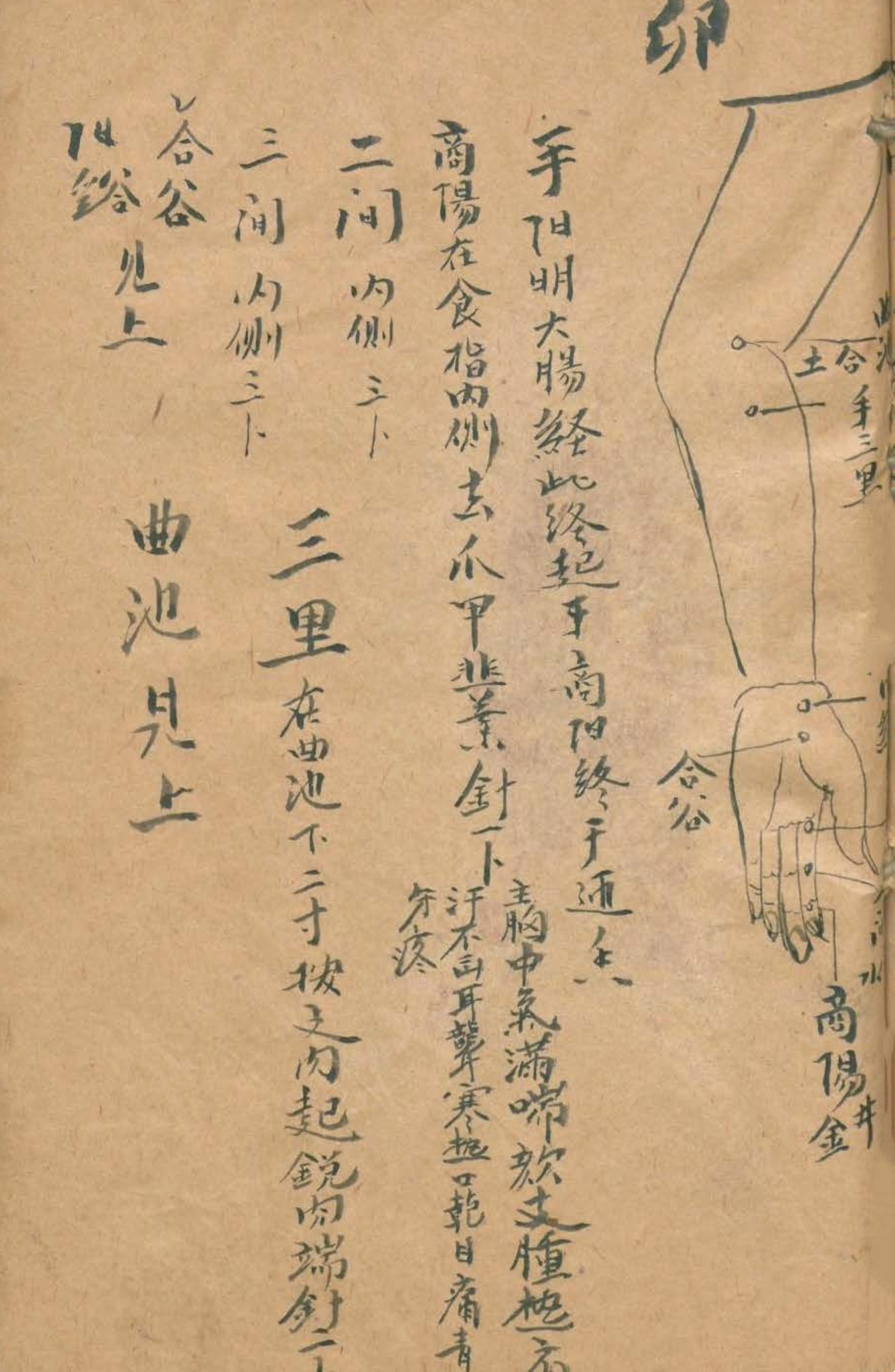 放痧疗法视频,放痧的最佳方法