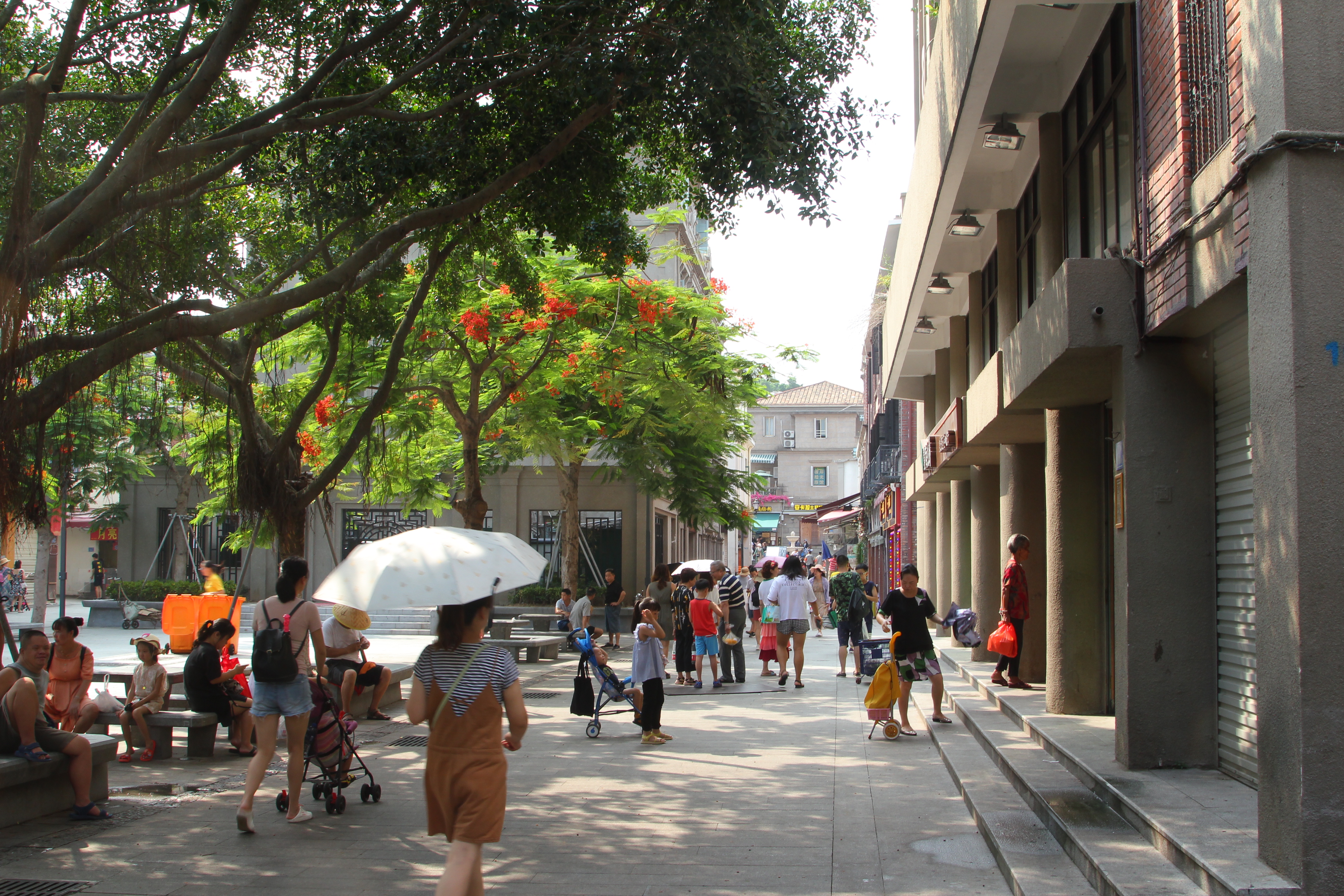 厦门一座来了就不想走的城市,去鼓浪屿不想逛太久