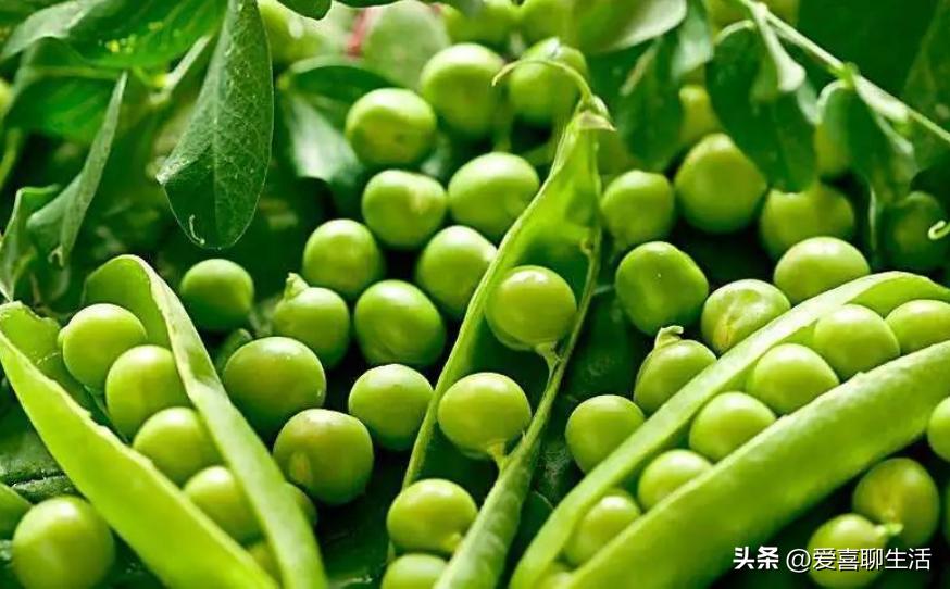 俗语：五月吃豆胜吃肉，5月该吃什么豆？这3种正大量上市，别错过