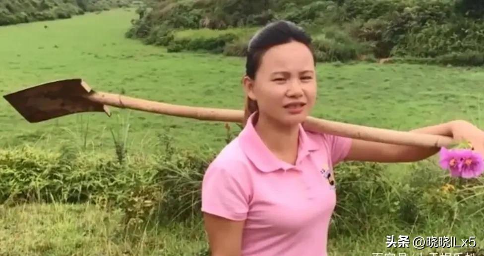 果农如何才能赚钱,果农的年收入