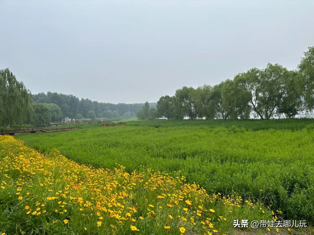 可搭帐篷公园,可以骑车搭帐篷的公园