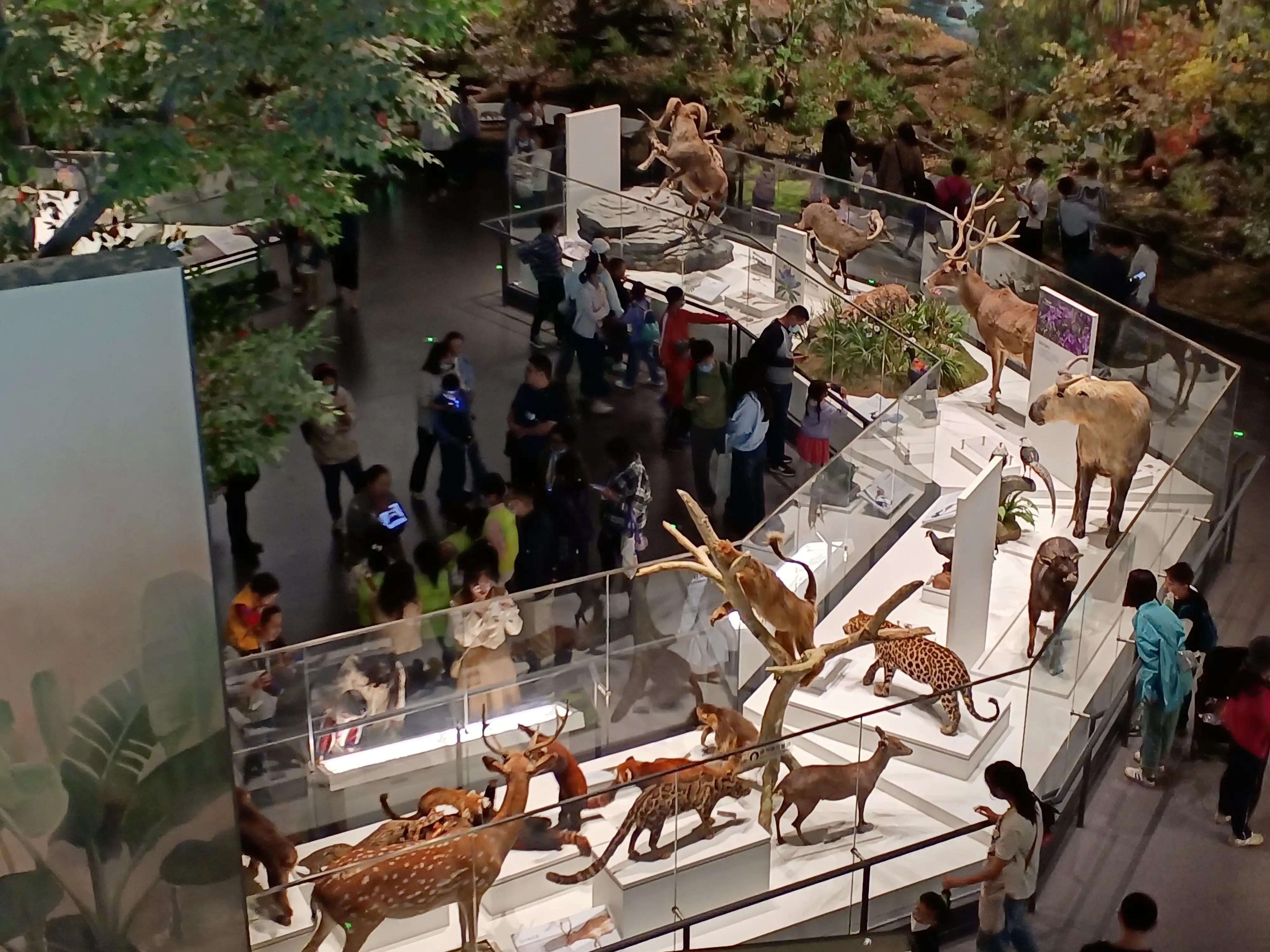 成都自然博物馆要钱吗,成都自然博物馆免门票几天