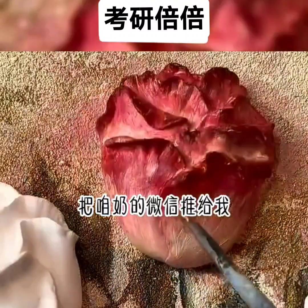 热门网文小说排行榜,热门网文改编电视剧推荐