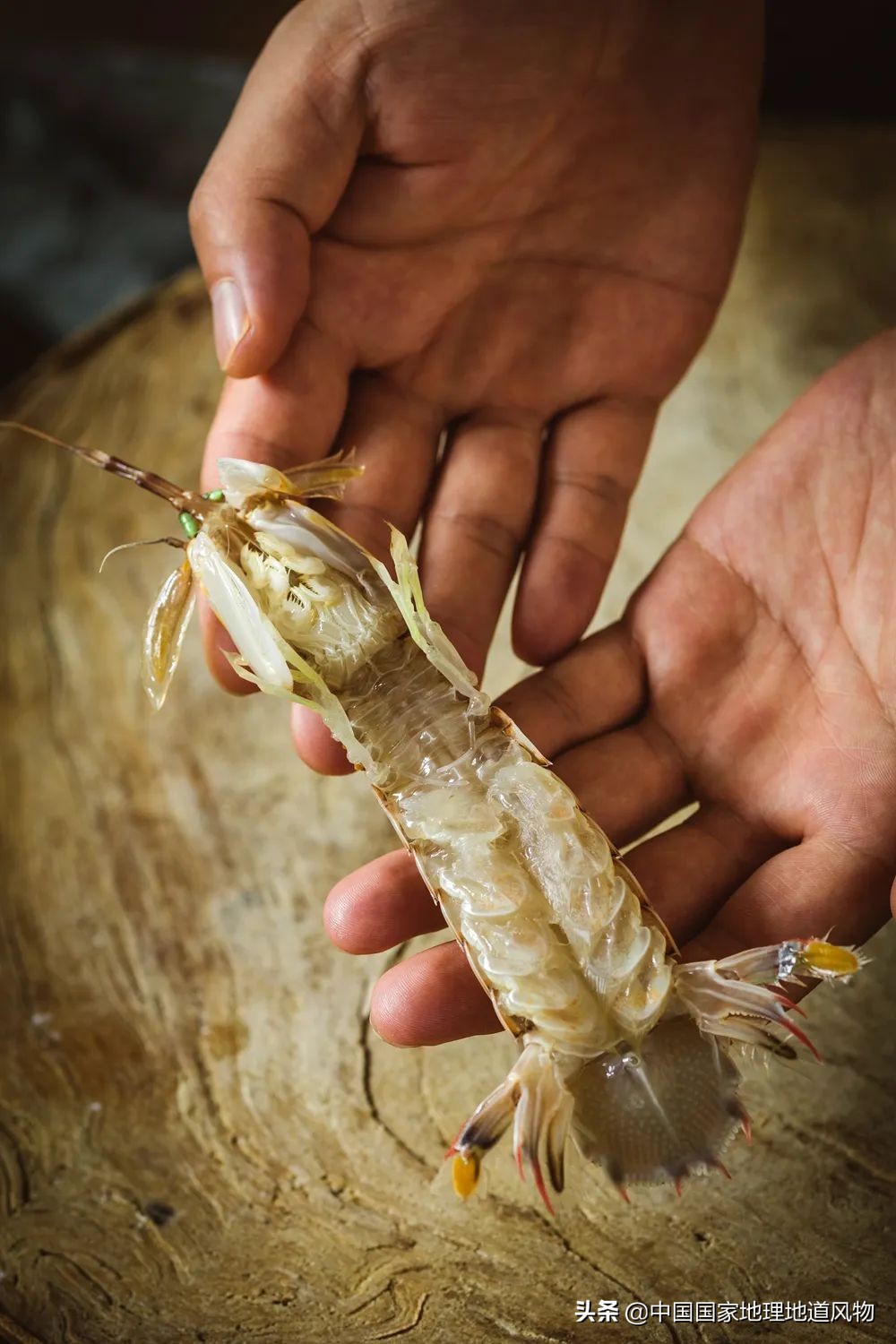 中国哪里可以吃超大皮皮虾,中国吃皮皮虾最好的地方