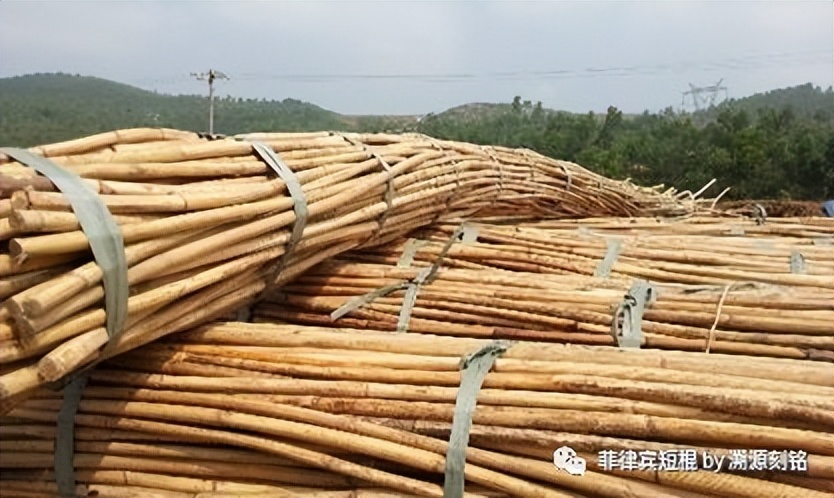 菲律宾短棍什么材质好,菲律宾短棍和中国少林棍