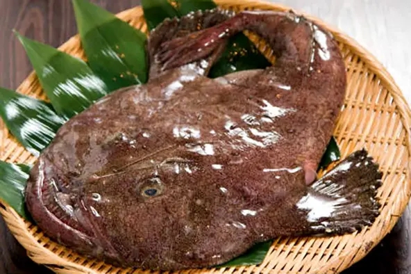 便宜野生的深海鱼有哪些,菜市最常见的深海鱼