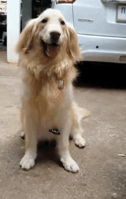 外卖小哥跳舞搞笑gif,外卖小哥gif