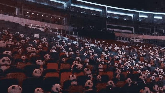 罗振宇创业行业,罗振宇2024乐观者