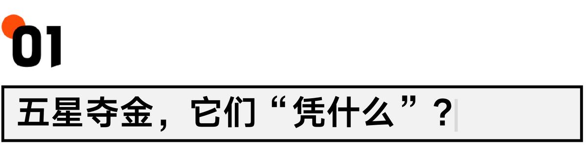 五星巴西带你翻盘,五星巴西夺冠纪录片