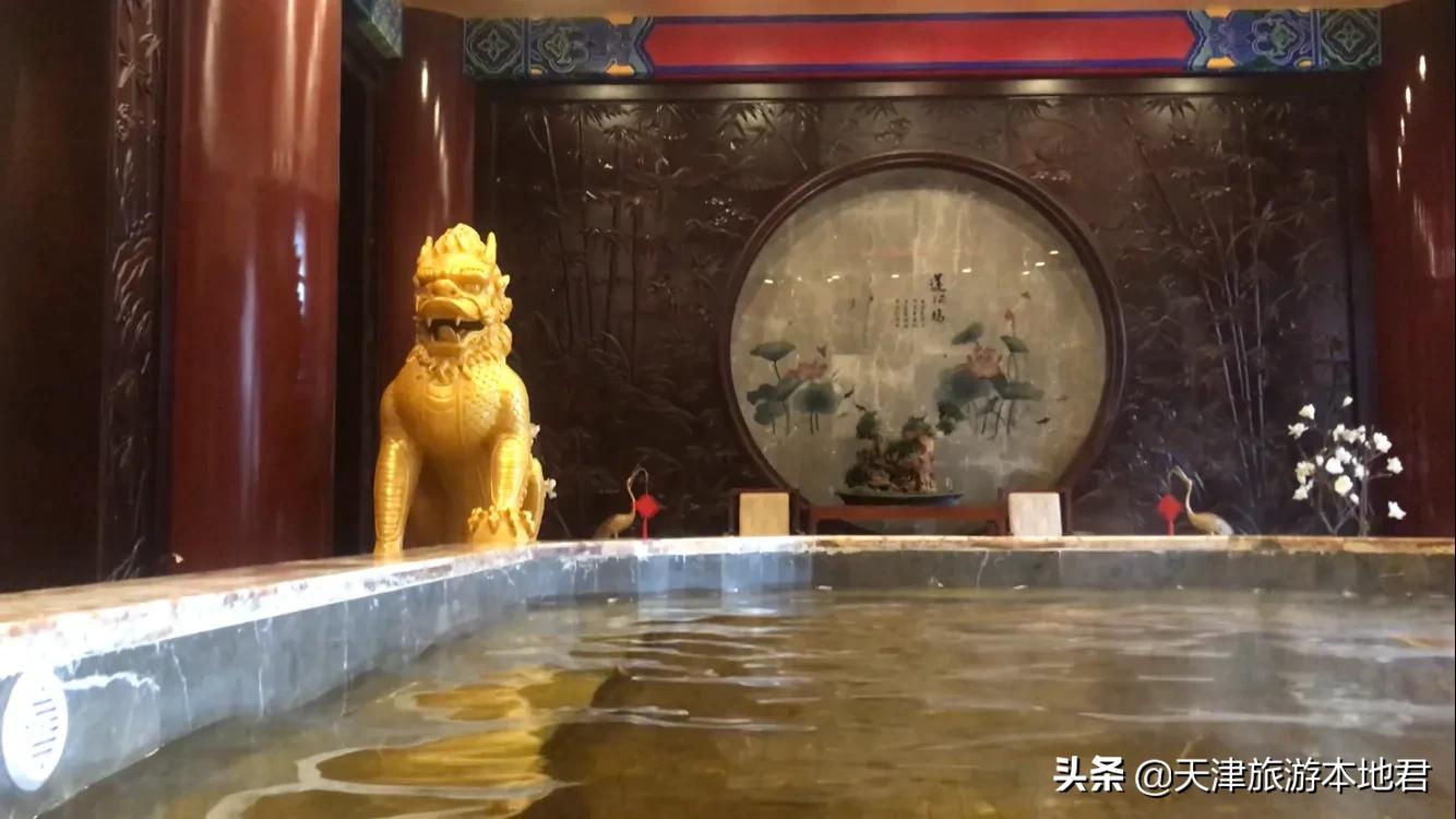 东丽湖温泉图片,东丽湖温泉怎么样