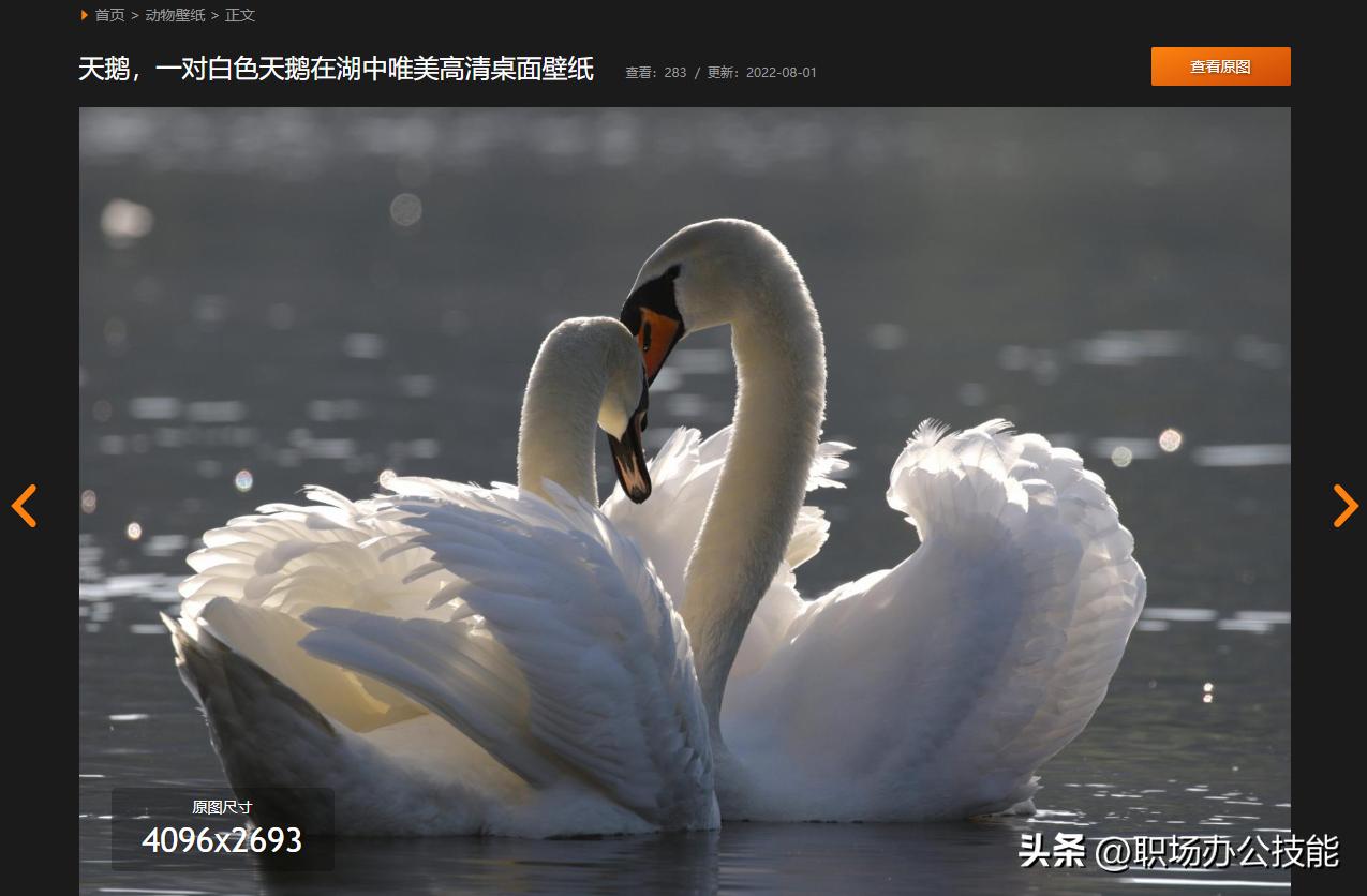 8个免费超清电脑壁纸网站,私藏壁纸超清全面屏