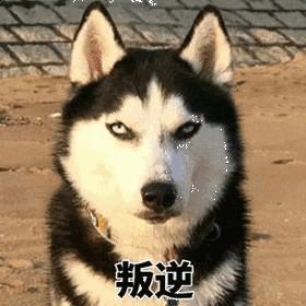 多巴胺奶茶怎么制作,多巴胺奶茶怎么做