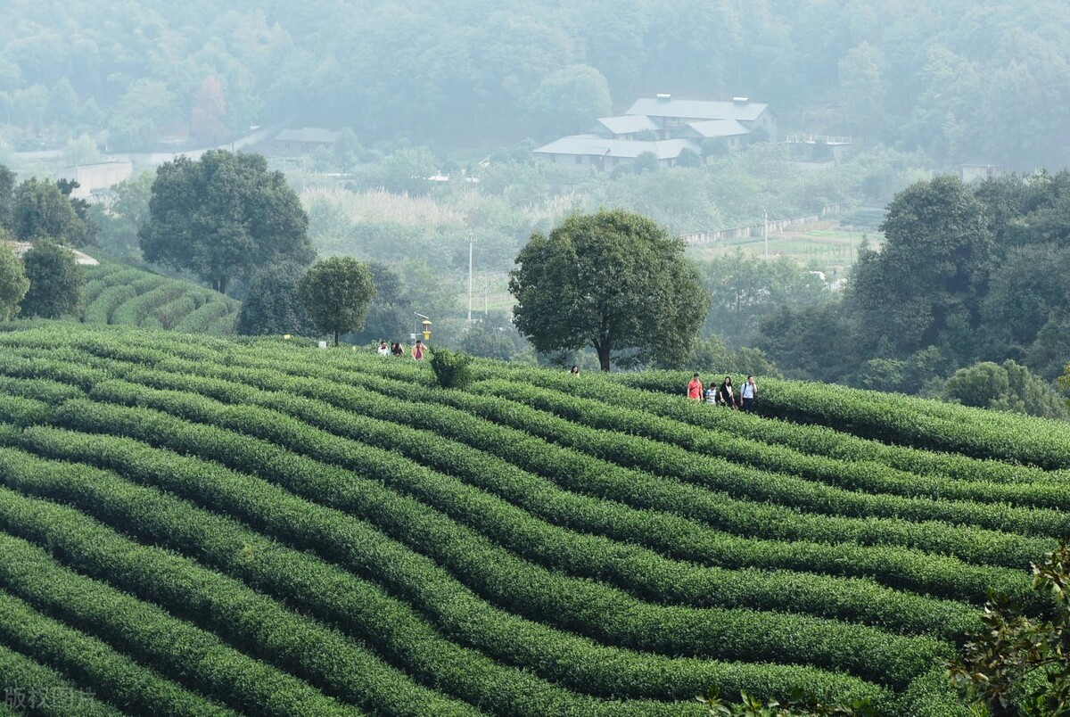 西安周边游玩的地方排行榜前十名,西安周边摩旅一日游最佳景点