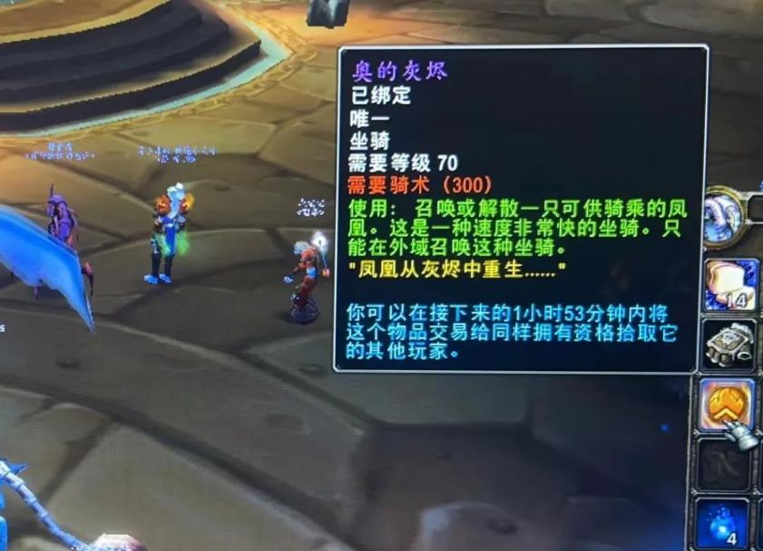 魔兽tbc猎人单刷老虎,魔兽tbc大鸟和小鸟的区别