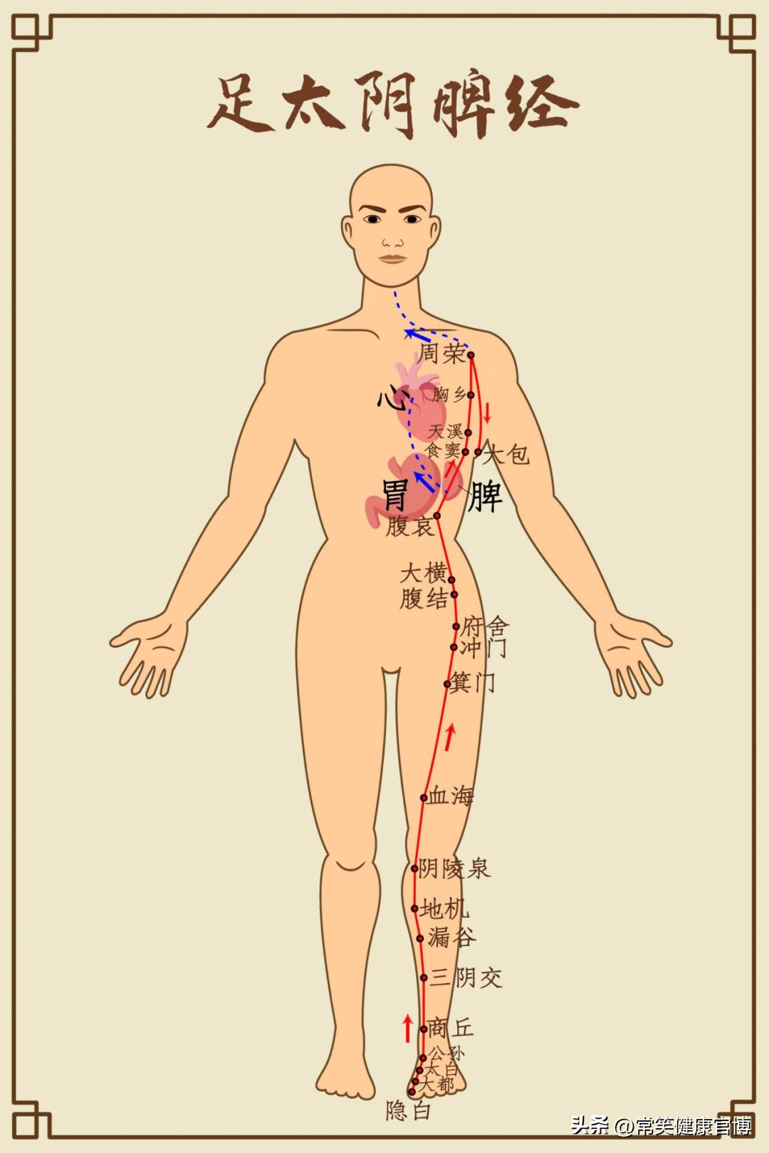 看了《后浪》才知道，端午节必备的艾草，原来一个夏天都这么有用