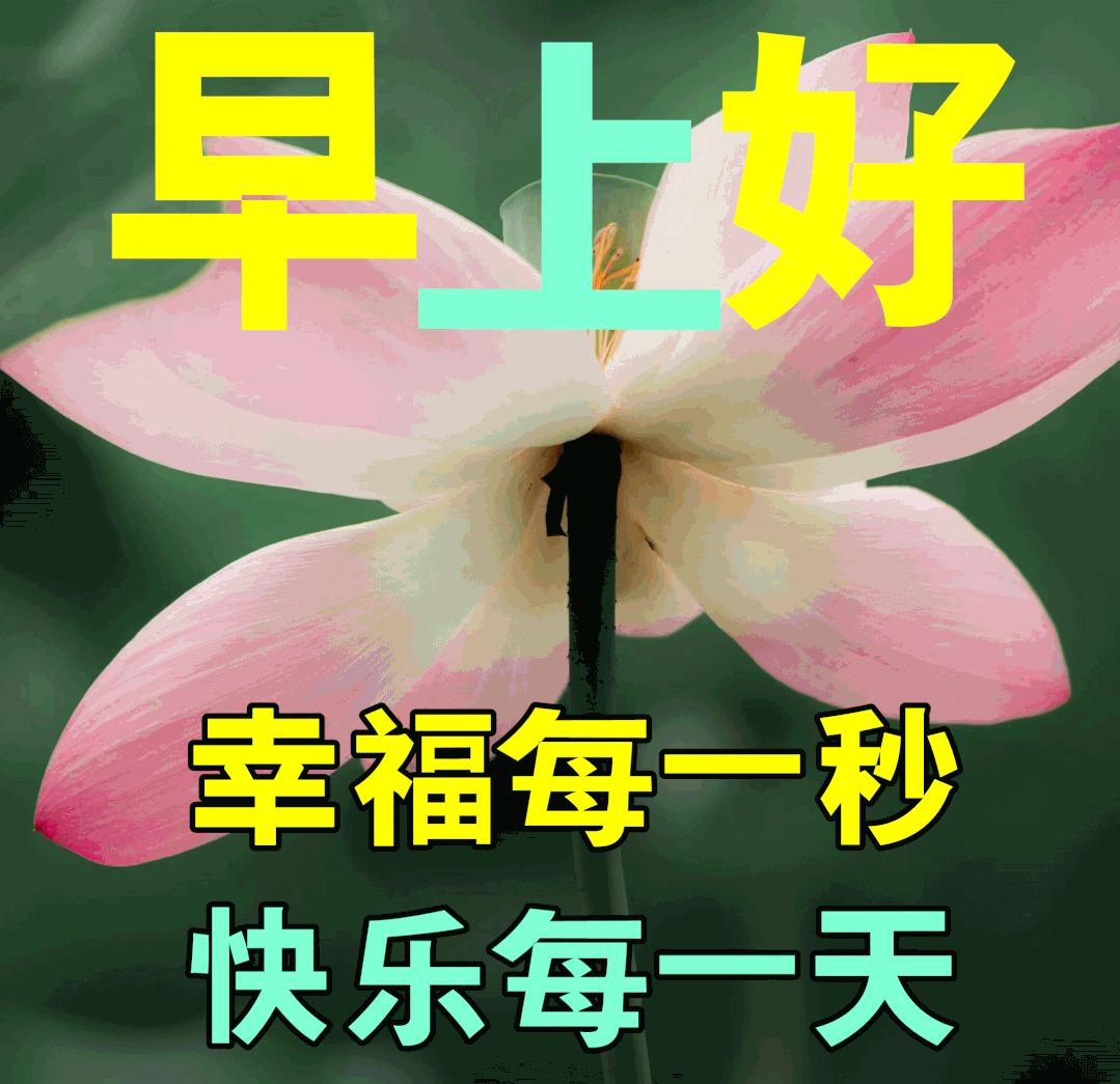 12月8日早上好,早安祝福语美好的一天从问候开始