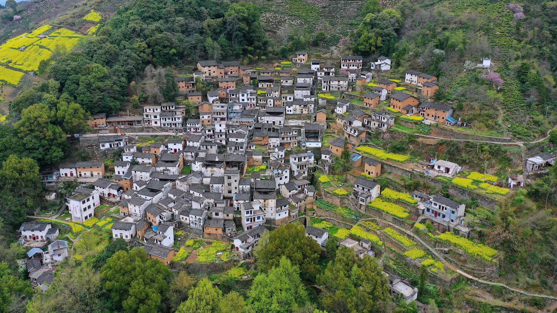 黄山适合隐居的民宿,真实的黄山古村落