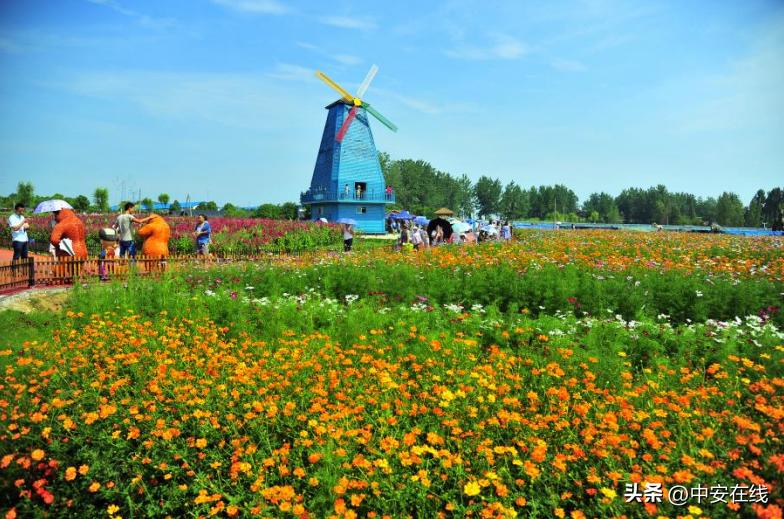 合肥发布63项文化旅游活动,五一合肥十大景区出炉