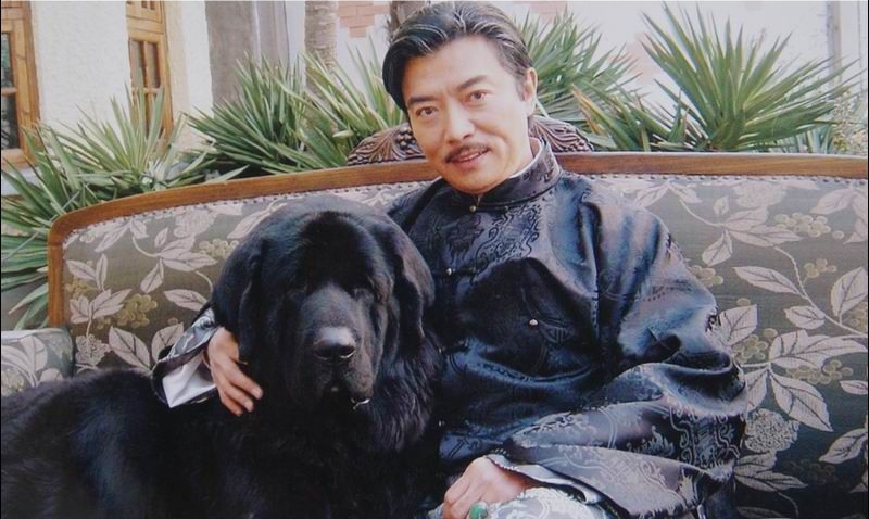 坐豪车吃牛肉的藏獒，沦落狗肉馆都嫌弃，是谁颠覆了“藏獒经济”