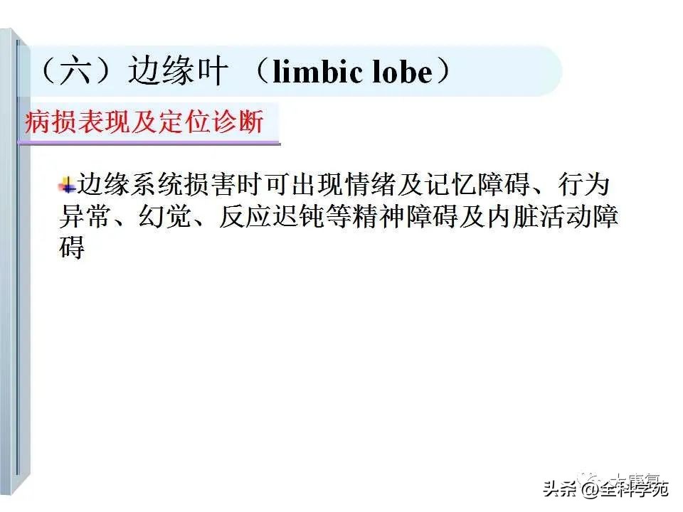 神经系统的影像与解剖定位,最全神经解剖图