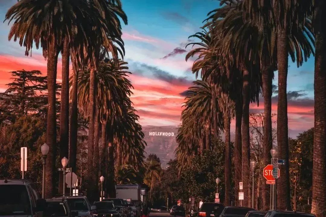 JetSet｜出入境政策再优化，10家航司新动态助力出境游更丝滑