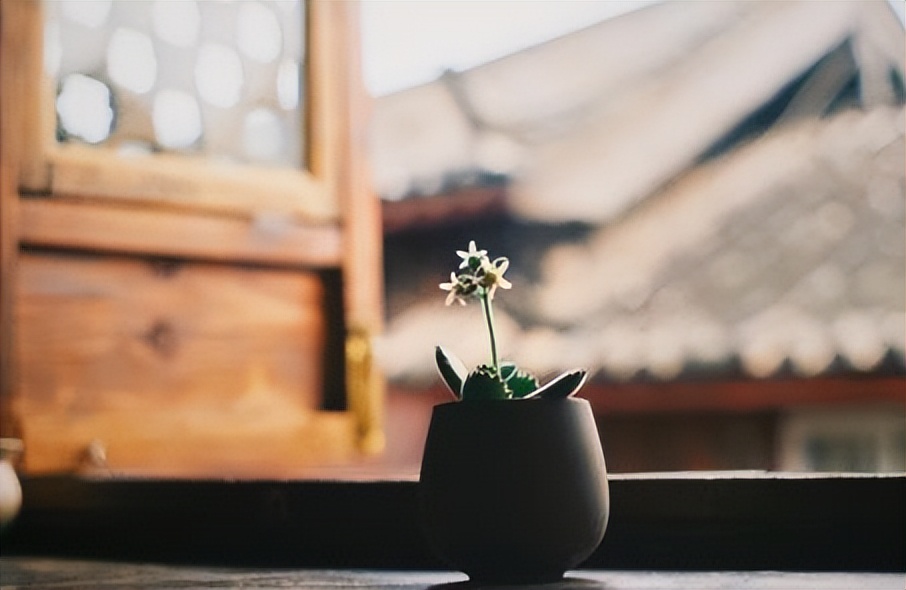 快过年了，五六十岁的人，不管有钱没钱，都要做好以下几种准备