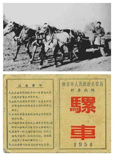 南师大校友作品特刊·散文篇｜徐陆：难忘的大坡，回不去的卫岗