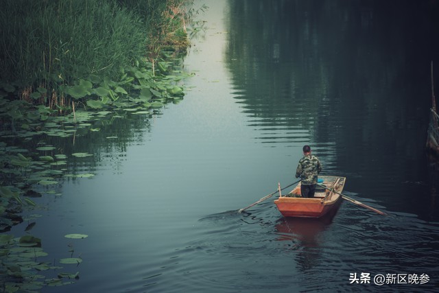 请别误会,吐槽白洋淀