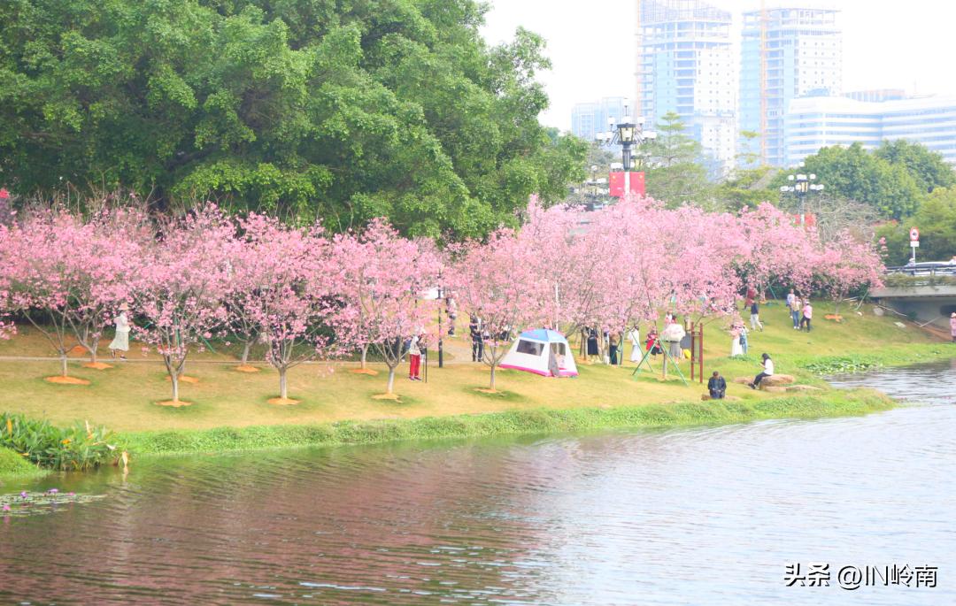 虹消雨霁斗转星移,虹销雨霁