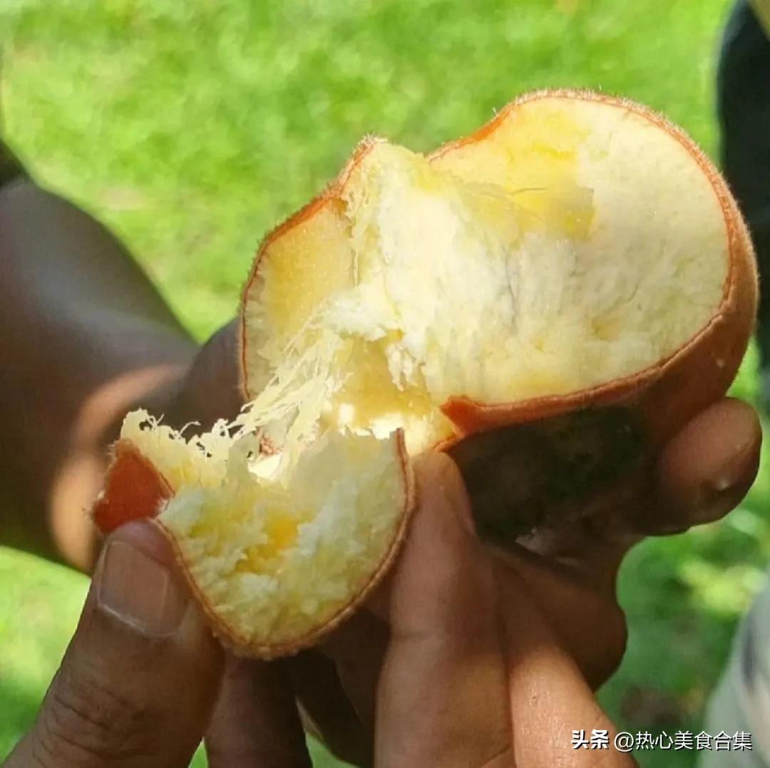 奇葩水果开箱合集,这些奇葩水果你见过吗