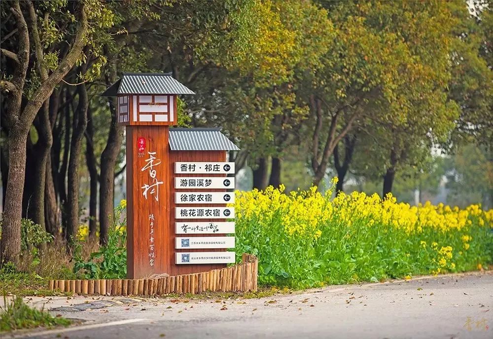 解析全国16个整村运营,解码全国16个整村运营经典案例