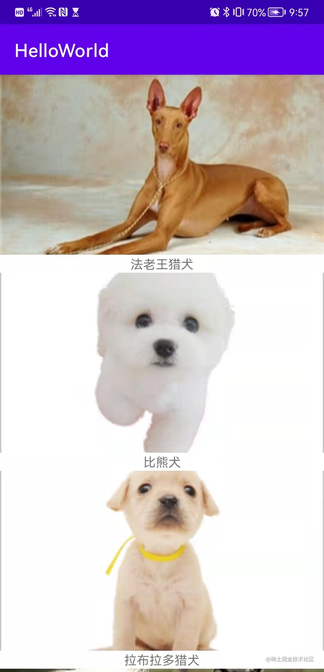 鍥涘ぇ鐙楃嫍鍝佺,鍥涜箘鐙楃嫍