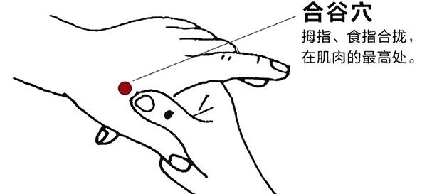 咳嗽与肺热和上火有什么关系,肺热咳嗽肺火旺怎么办